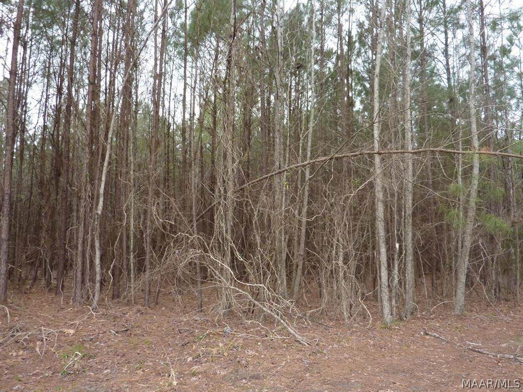 Lot 18 Doe Run Court - Photo 1