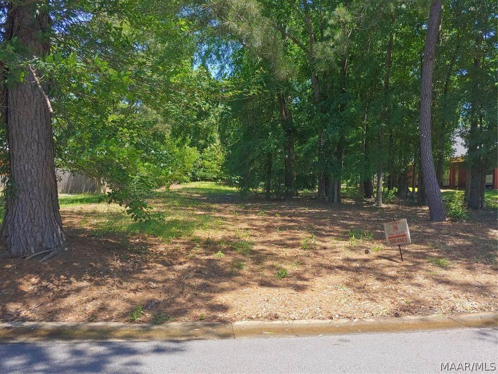 64 Elm Drive - Photo 1