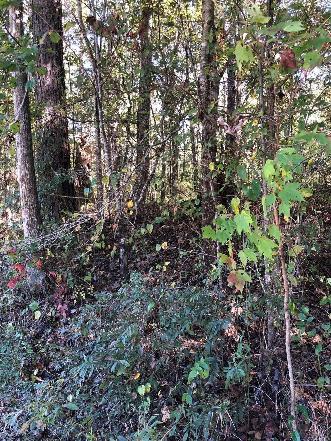 0 Bishop Bottom Road - Photo 1