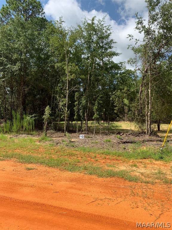 Lot 10 Deer Loop - Photo 1
