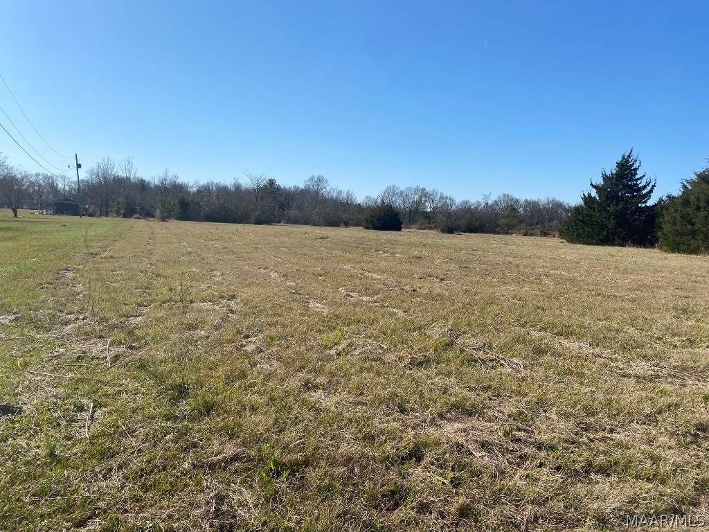 0 Bush Drive - Photo 1