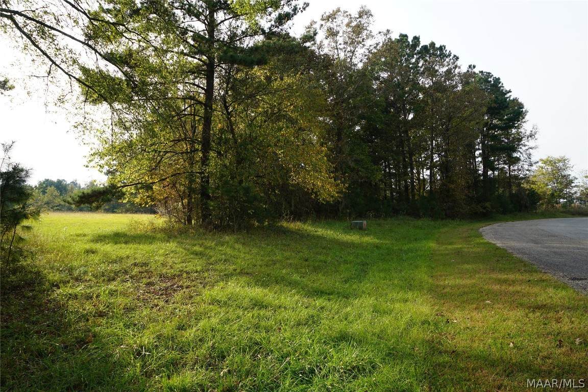 97 Hunters Cove - Photo 1