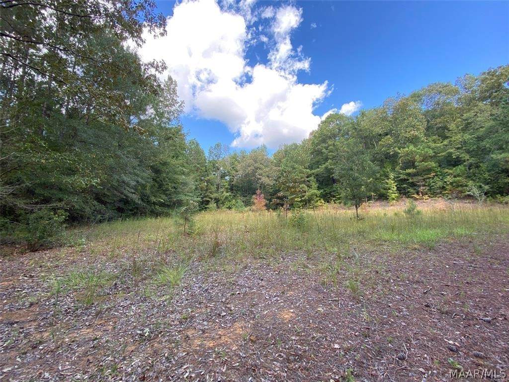 53 County Road 843 - Photo 1