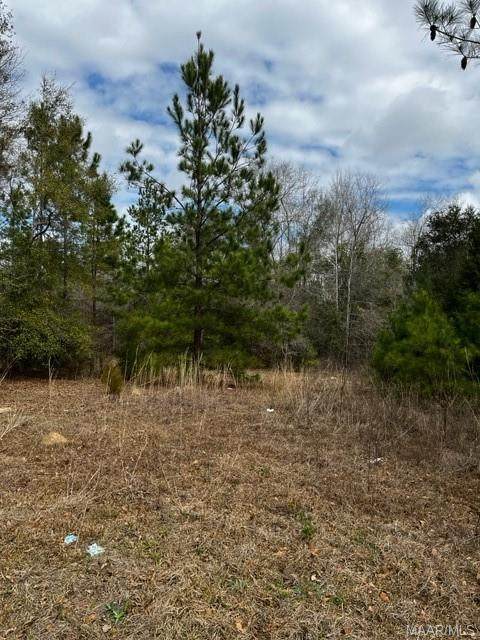 0 Metcalf Street - Photo 1