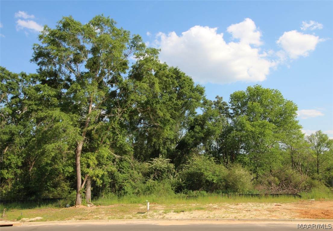 322 Lakes Drive - Photo 1