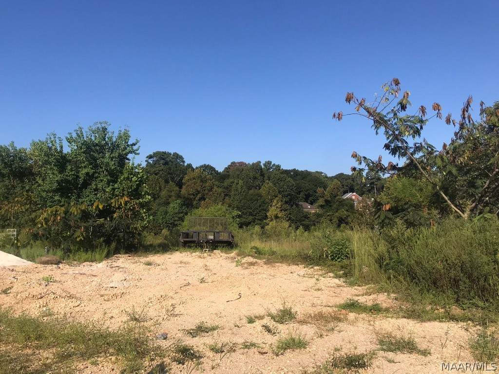 104 Lake Haven Way - Photo 1