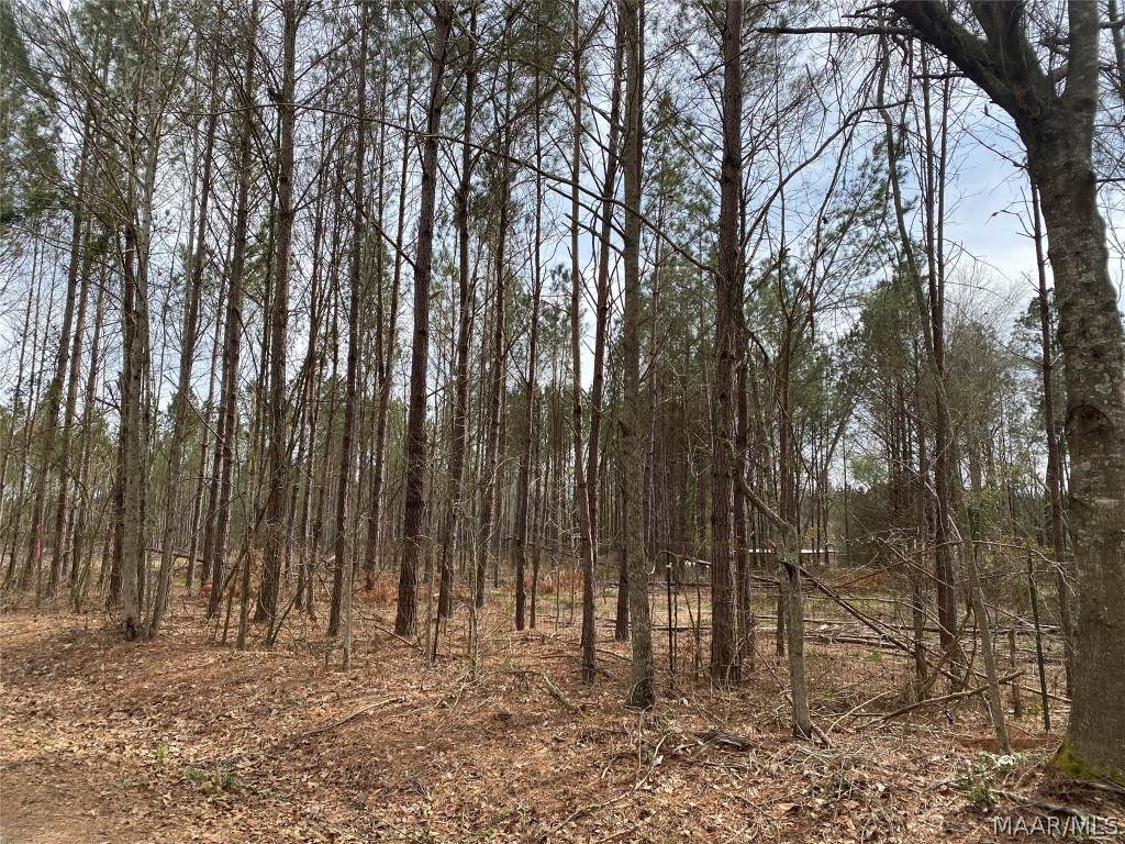 0 Taft Skipper Road - Photo 1