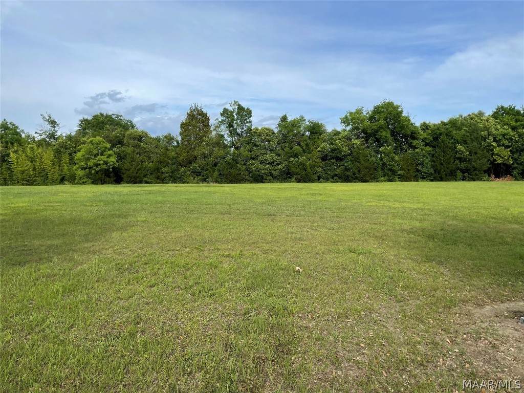 2515 Gunster Road - Photo 1