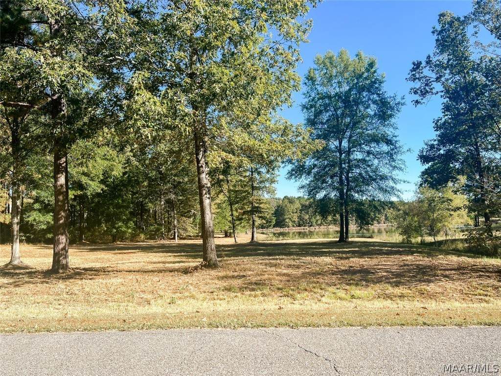 111 Winchester Trace - Photo 1