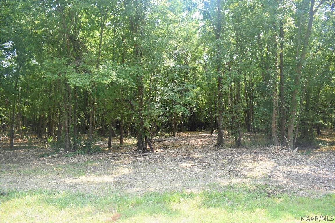 LOT 23 Roark Trace Road - Photo 1