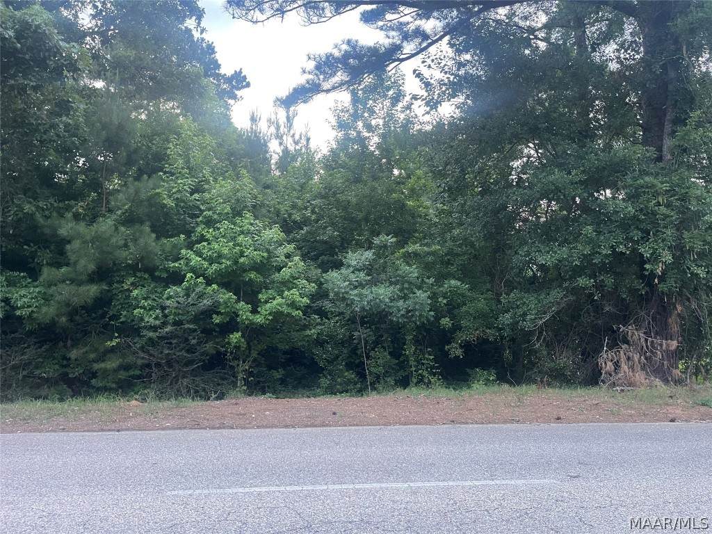 1215 Highway 123 - Photo 1