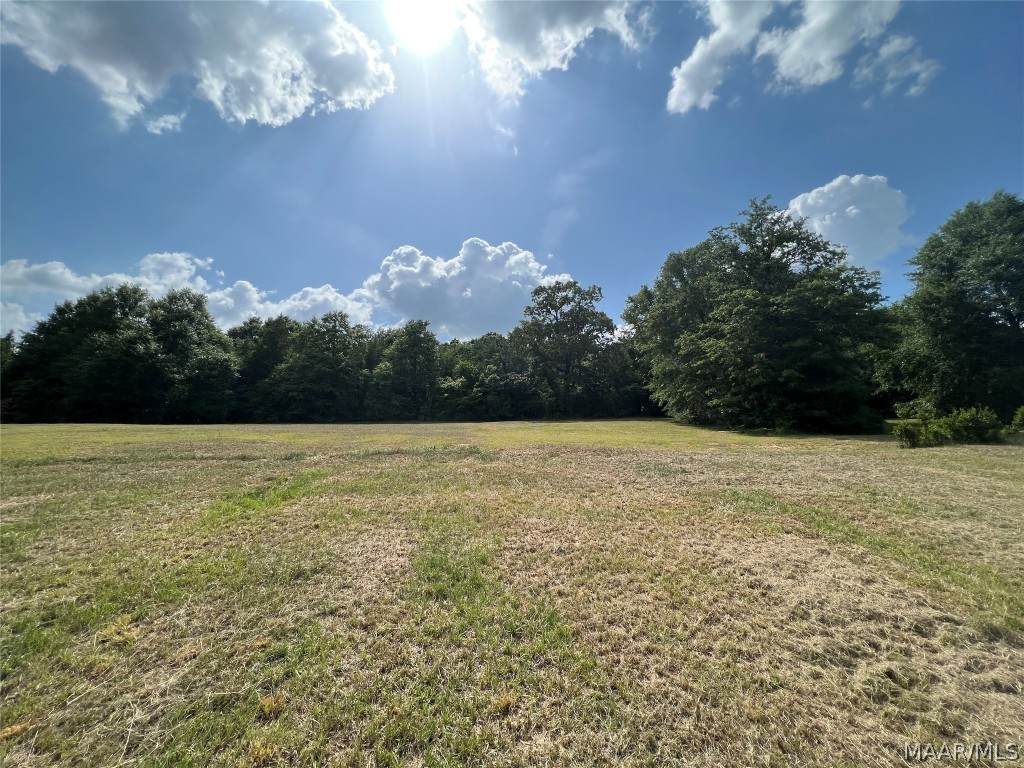0 Goose Pointe Landing - Photo 1