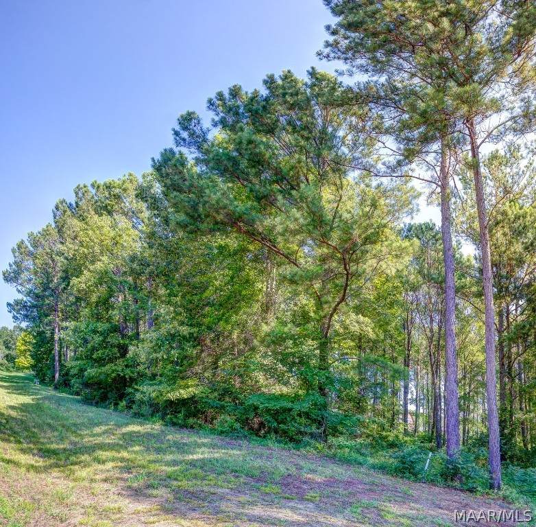 81 Winchester Trace - Photo 1