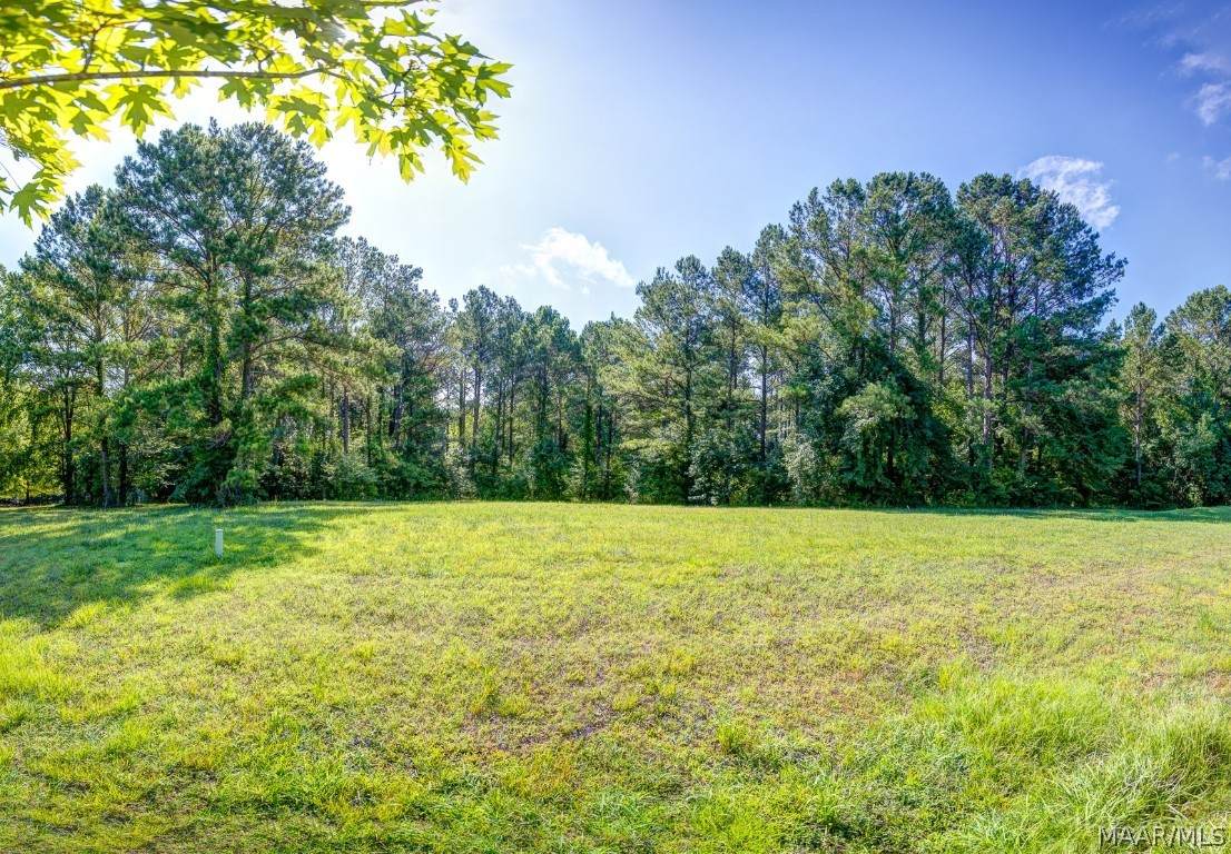 152 Woods N Water Lane - Photo 1