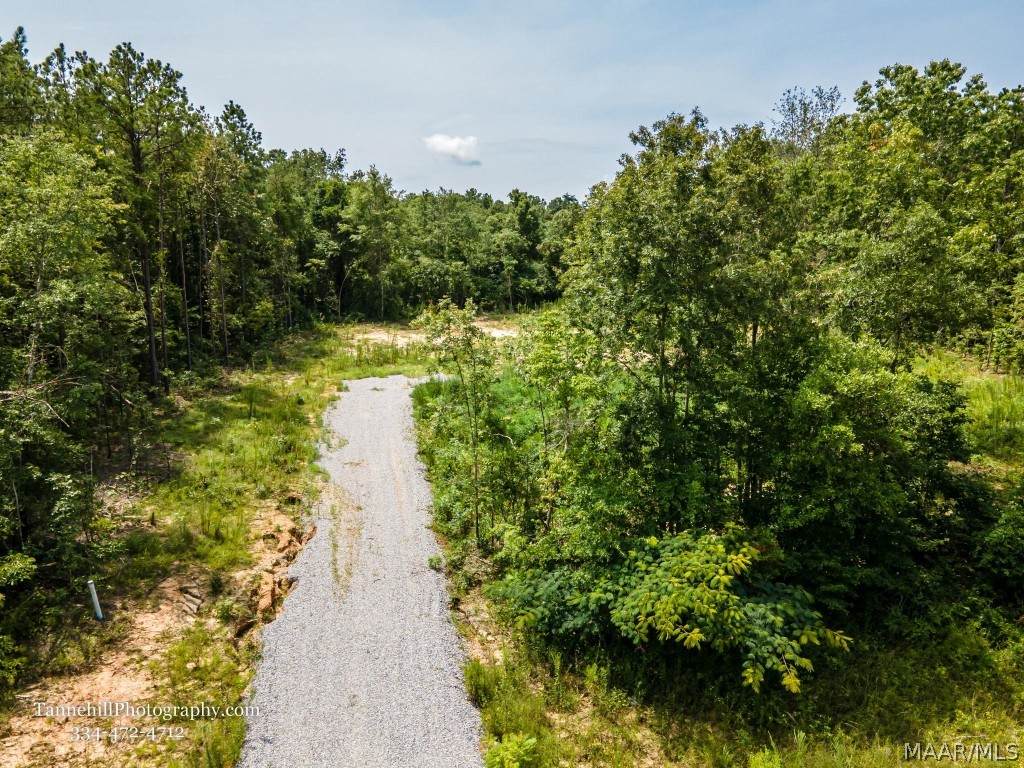 230 Merrill Lane - Photo 1