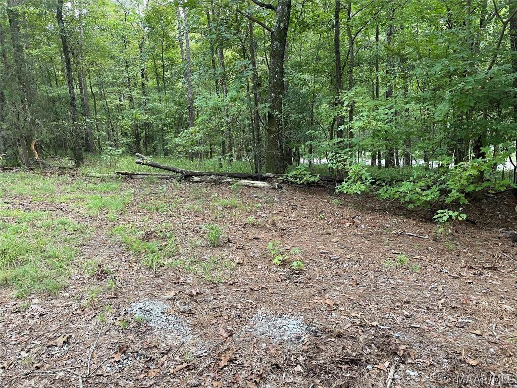 1724 Okfuski Trail - Photo 1