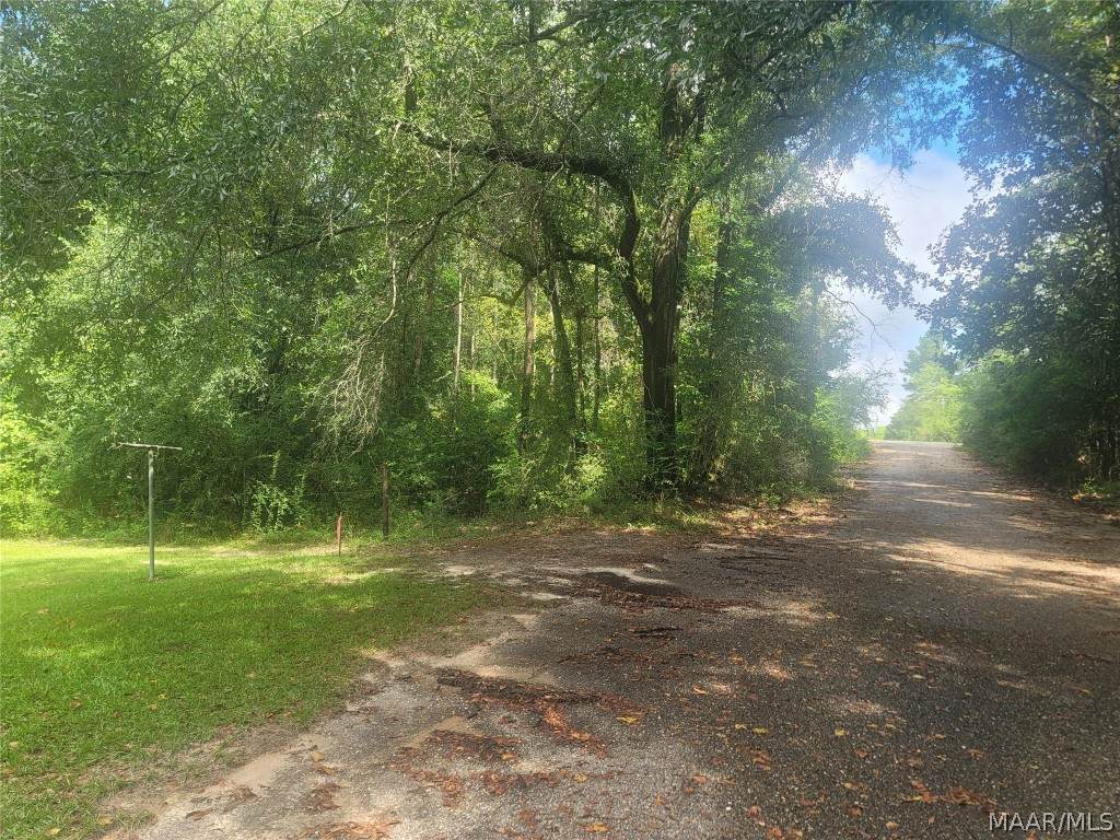 000 Dilly Branch Road - Photo 1