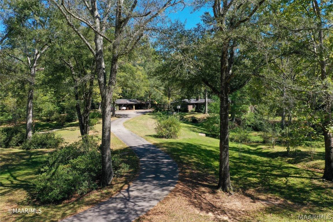 50 Old Selma Road - Photo 1
