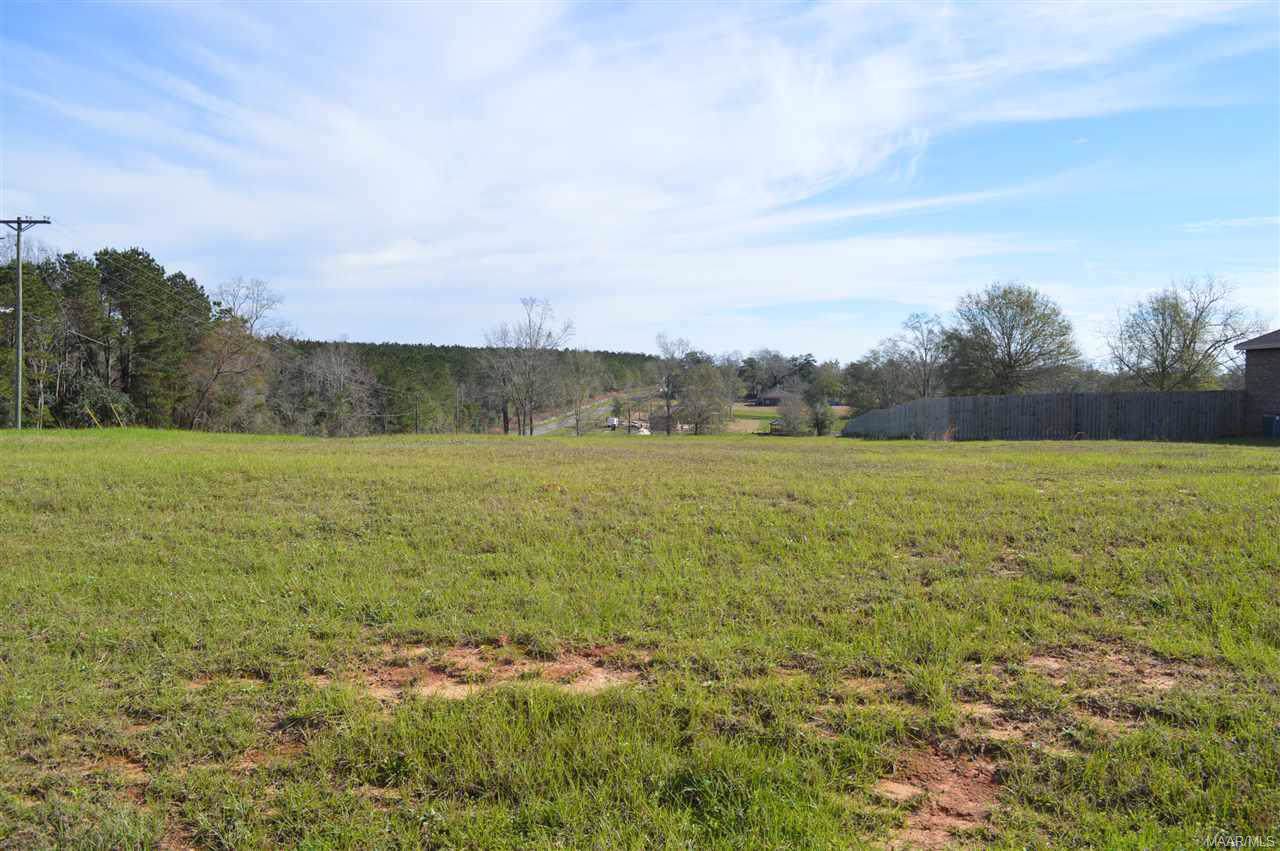 LOT 48 Coldwater Creek - Photo 1