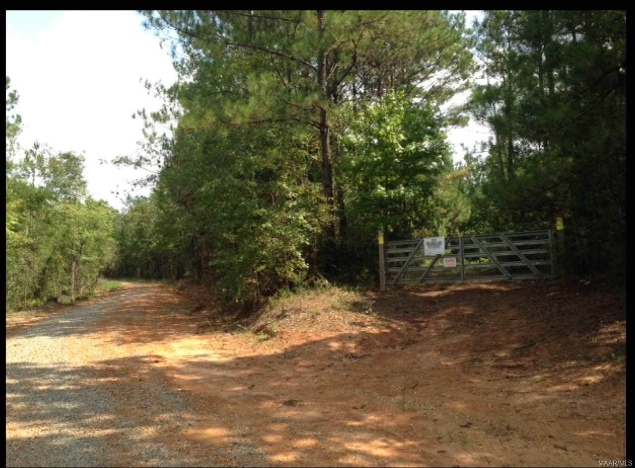 0 County Road 149 - Photo 1