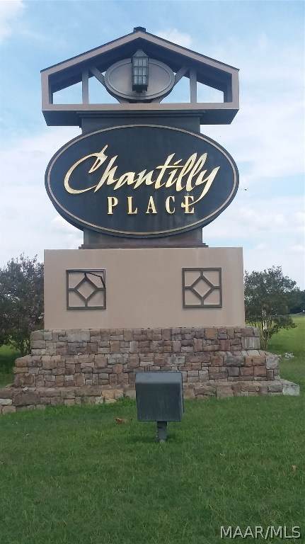 000 Chantilly Place - Photo 1