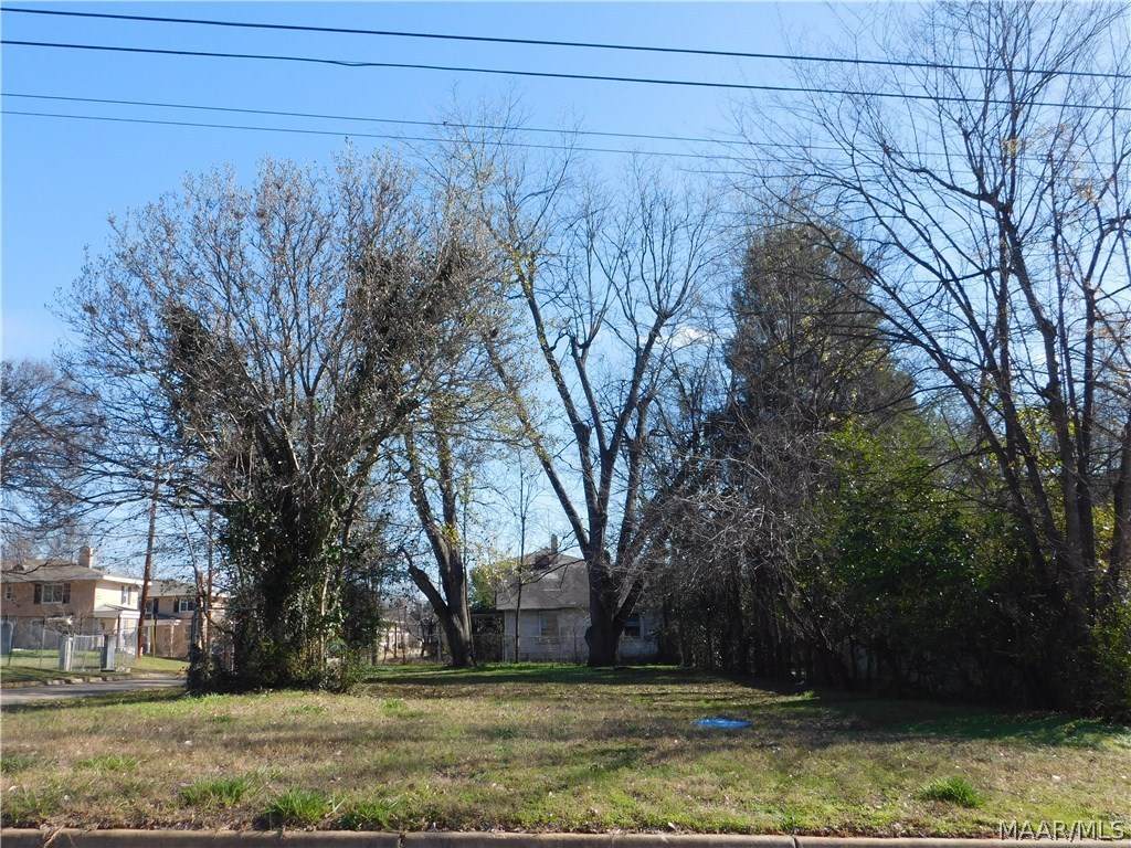1001 Adeline Street - Photo 1
