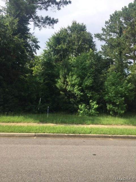4749 Prairie Meadows Drive - Photo 1