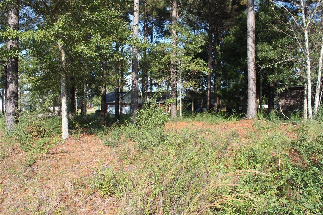 0 Bellwood Trail - Photo 1