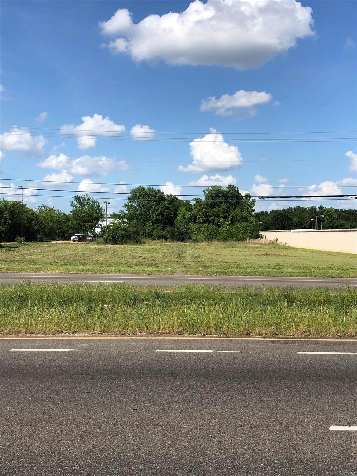 0 Highway 231 - Photo 1
