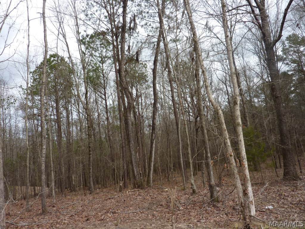 Lot 8 Doe Run Court - Photo 1