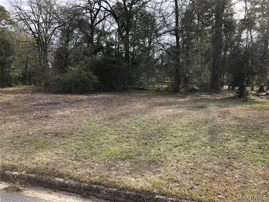 155 Pinetree Drive - Photo 1