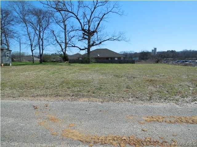 313 Boundary Street - Photo 1