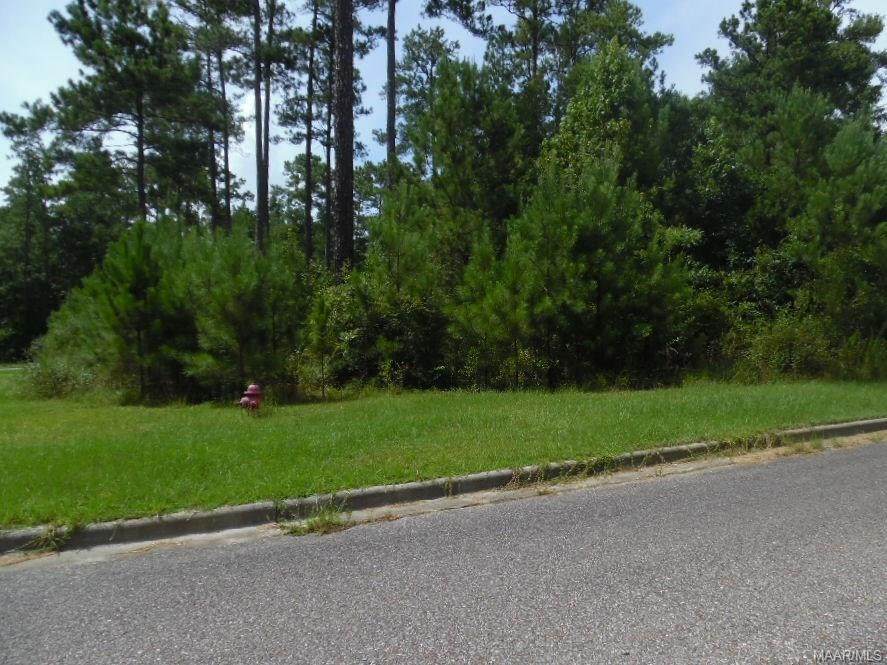 000 Daisy Lane - Photo 1