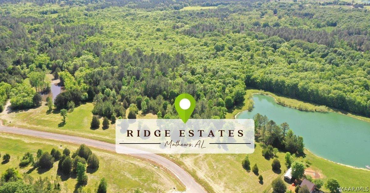 Lot 9 Leahmon Lane - Photo 1