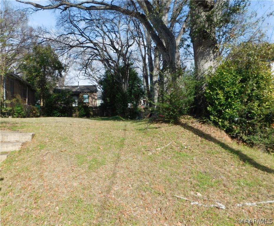 1011 Grove Street - Photo 1