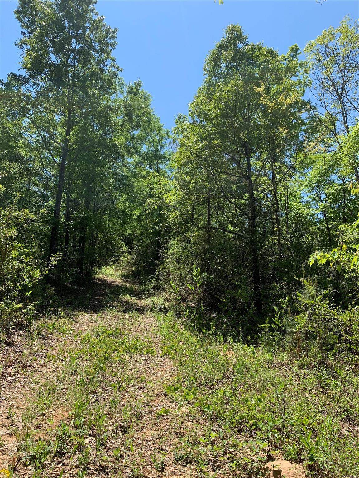 0 County Road 81 Road - Photo 1
