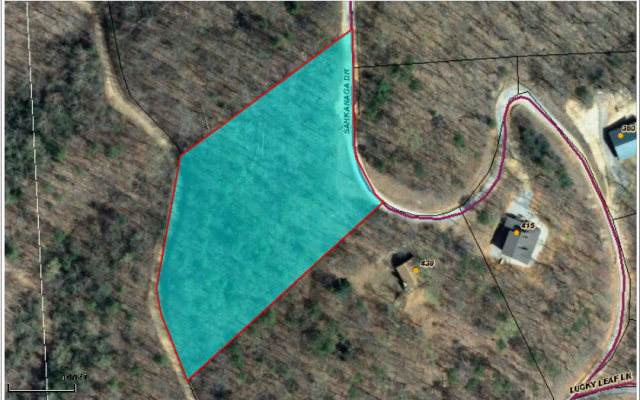 00 Sahkanaga Drive - Photo 1