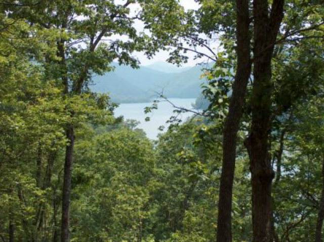 Lot 6 Nantahala Harbor - Photo 1