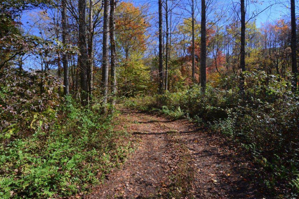 NCSR1110 Long Creek Road - Photo 1