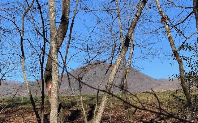Lot 3 Penlands Indian Trail - Photo 1