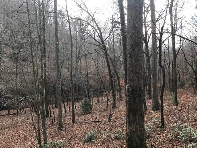 20 Sams Branch View - Photo 1