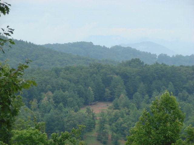 Lot 42 Carolina Fox Circle - Photo 1