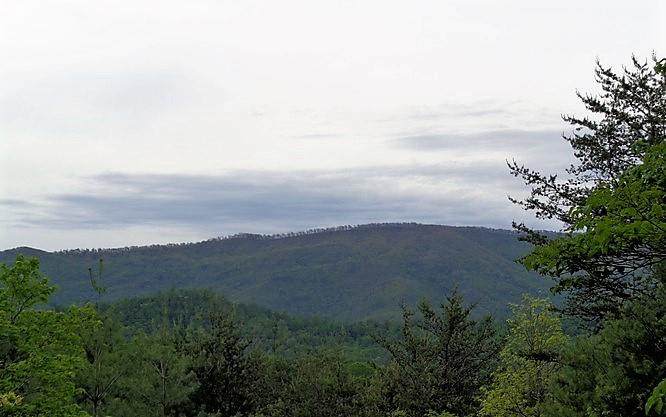 TR I5 Crockett Mountain - Photo 1