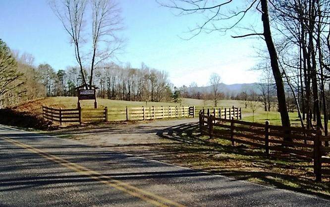 Lot 8 Hinton Center Rd - Photo 1