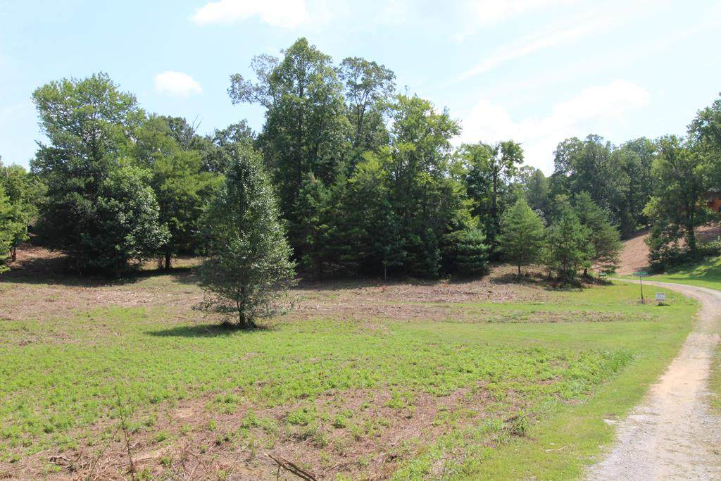 Lot 5 Peachtree Meadows Trail - Photo 1