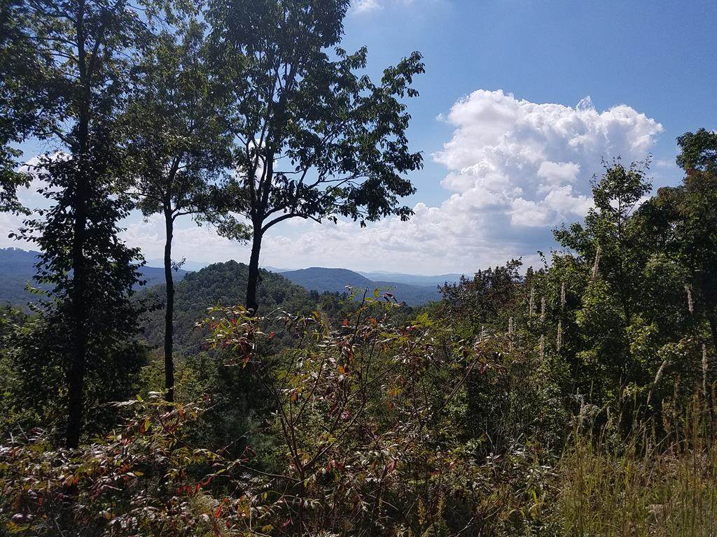 36 Patriot Ridge - Photo 1