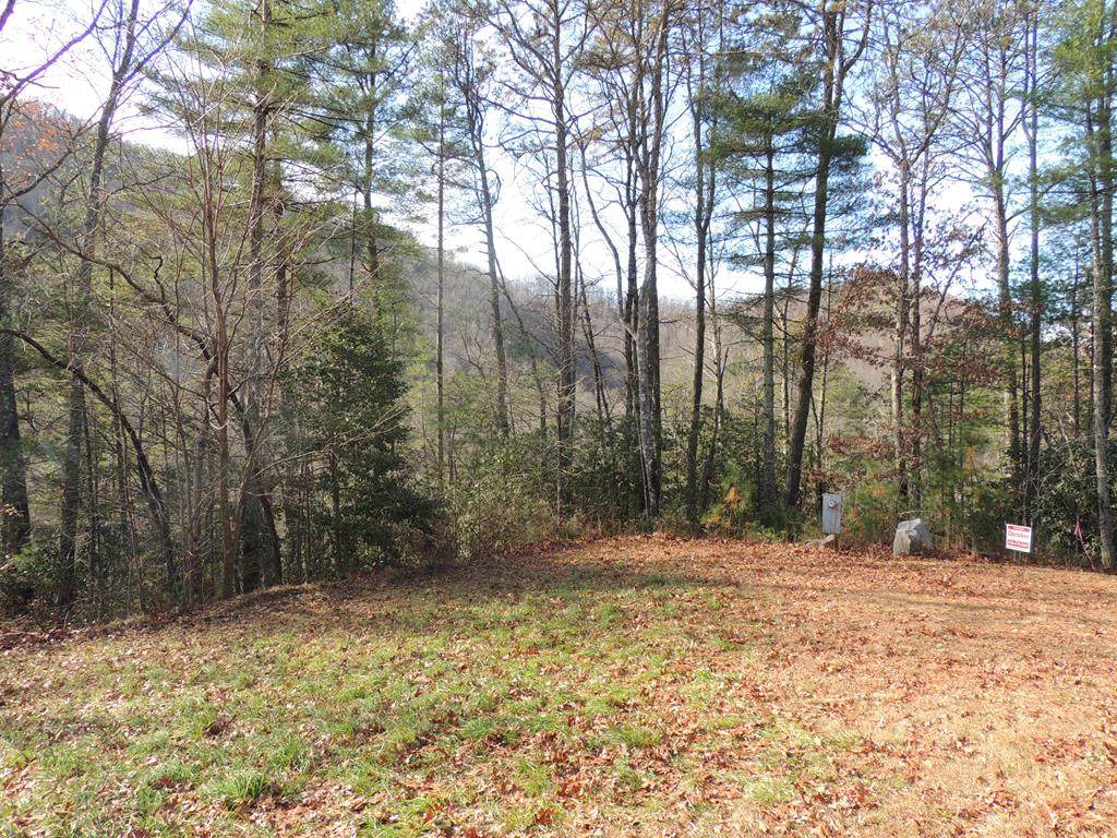 00 Bear Creek - Photo 1