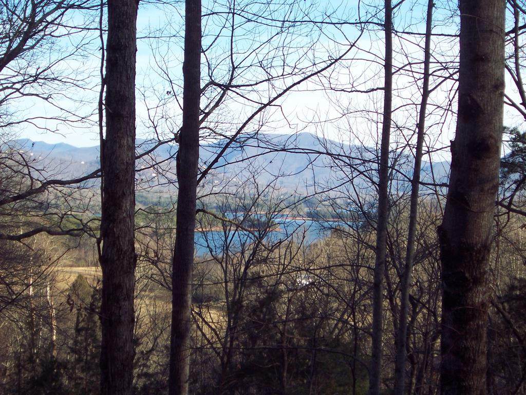 Lot #21 Tahlequah Ridge - Photo 1