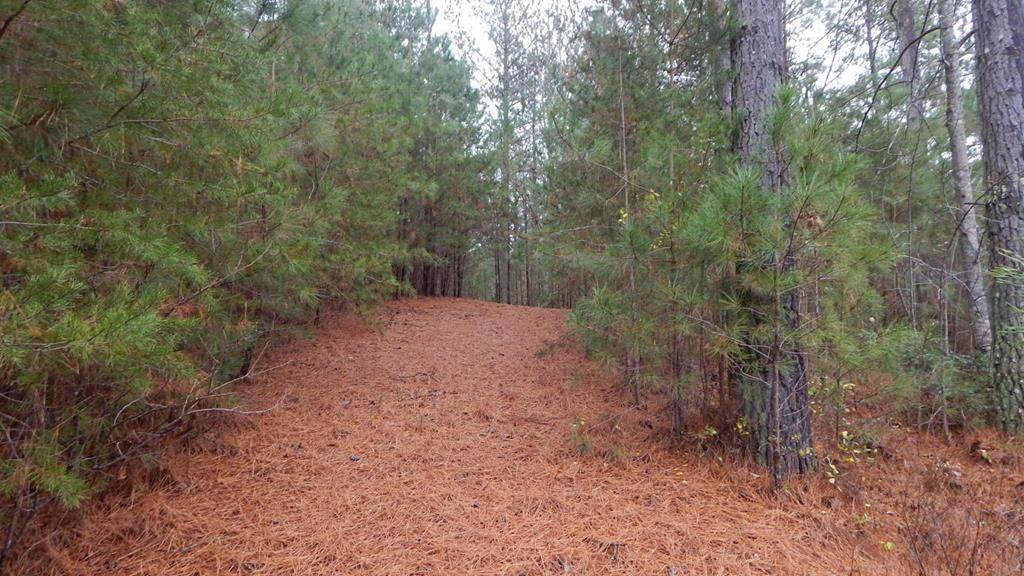 42 Grand Vista - Photo 1