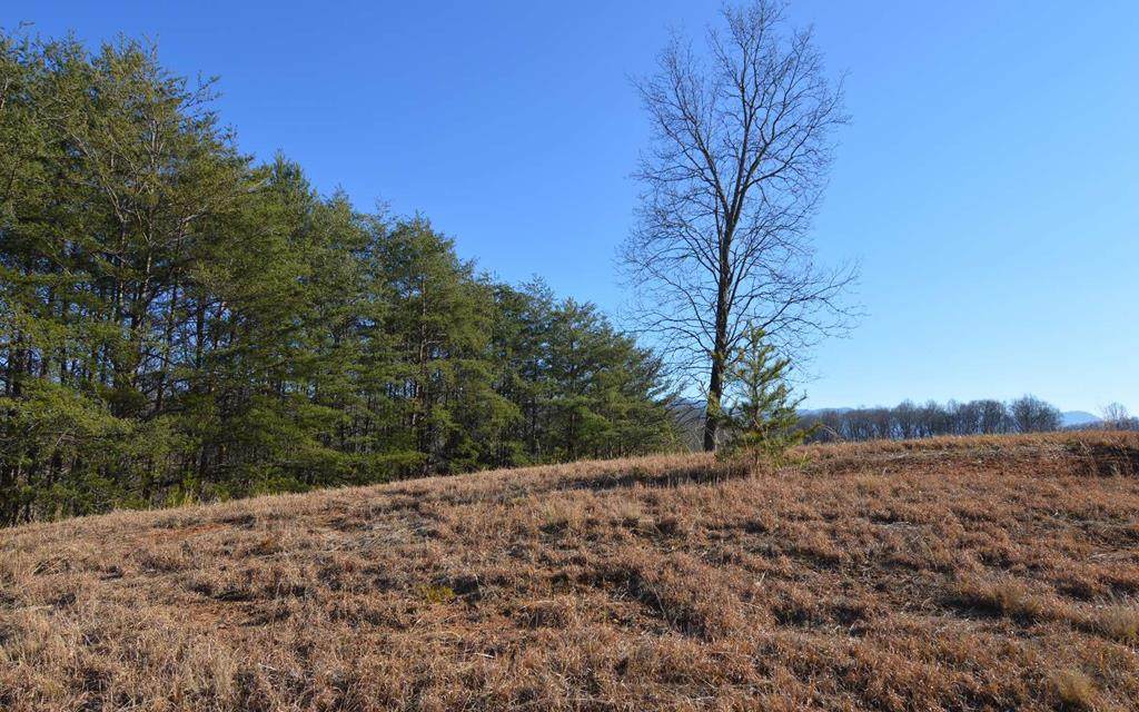 Lot 79 The Preserves - Photo 1